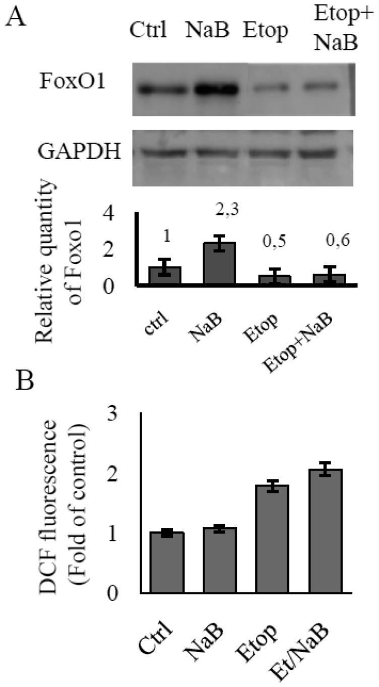 https://cdn.ncbi.nlm.nih.gov/pmc/blobs/217c/6690250/5dc6959fadd2/genetics-05-01-041-g001.jpg