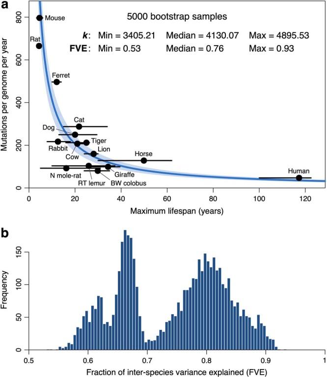 https://cdn.ncbi.nlm.nih.gov/pmc/blobs/2187/9021023/7914a46a01af/41586_2022_4618_Fig16_ESM.jpg