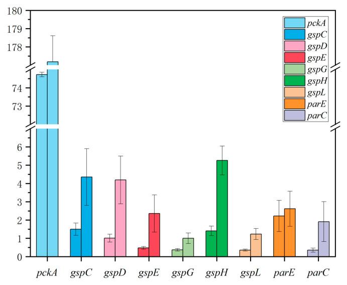 https://cdn.ncbi.nlm.nih.gov/pmc/blobs/2188/10135303/1a5837ea1a38/antibiotics-12-00638-g007.jpg