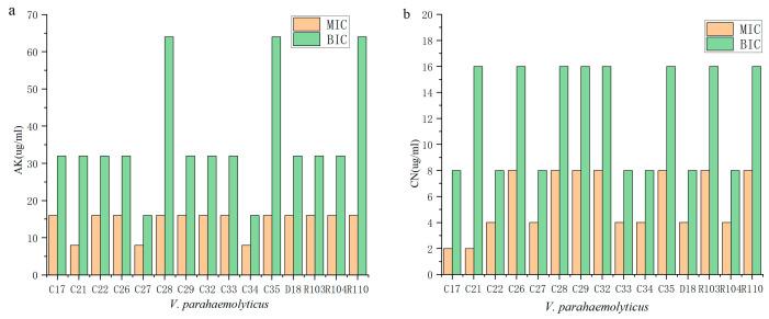 https://cdn.ncbi.nlm.nih.gov/pmc/blobs/2188/10135303/43207a261a67/antibiotics-12-00638-g001.jpg