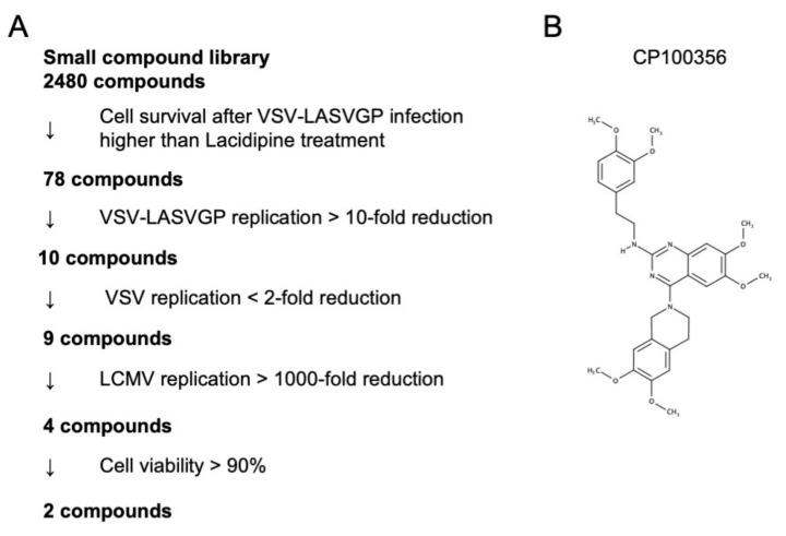 https://cdn.ncbi.nlm.nih.gov/pmc/blobs/21ba/8473031/d145a12e22b3/viruses-13-01763-g001.jpg