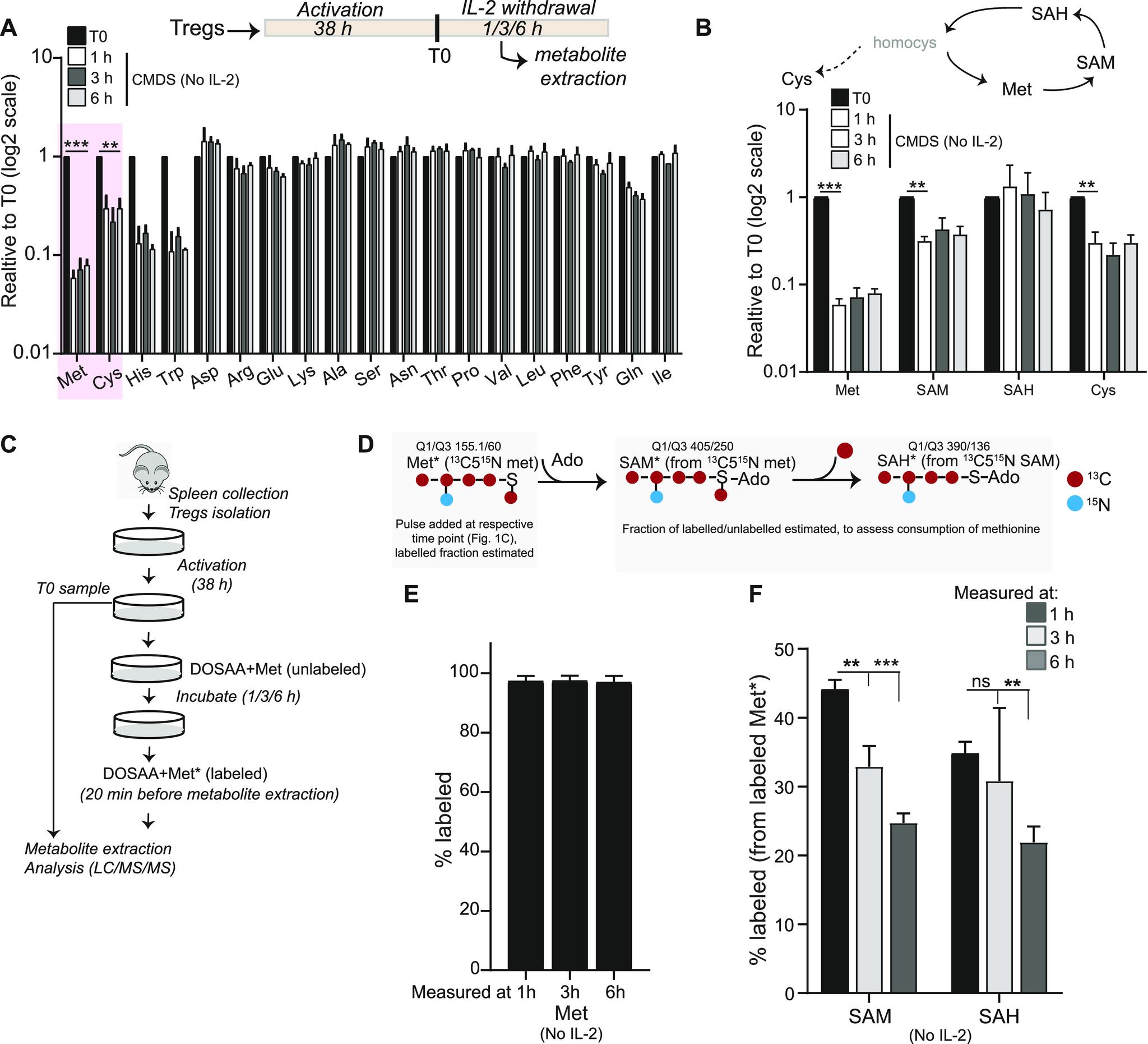 https://cdn.ncbi.nlm.nih.gov/pmc/blobs/21bf/9463494/09494daad559/LSA-2022-01663_Fig1.jpg
