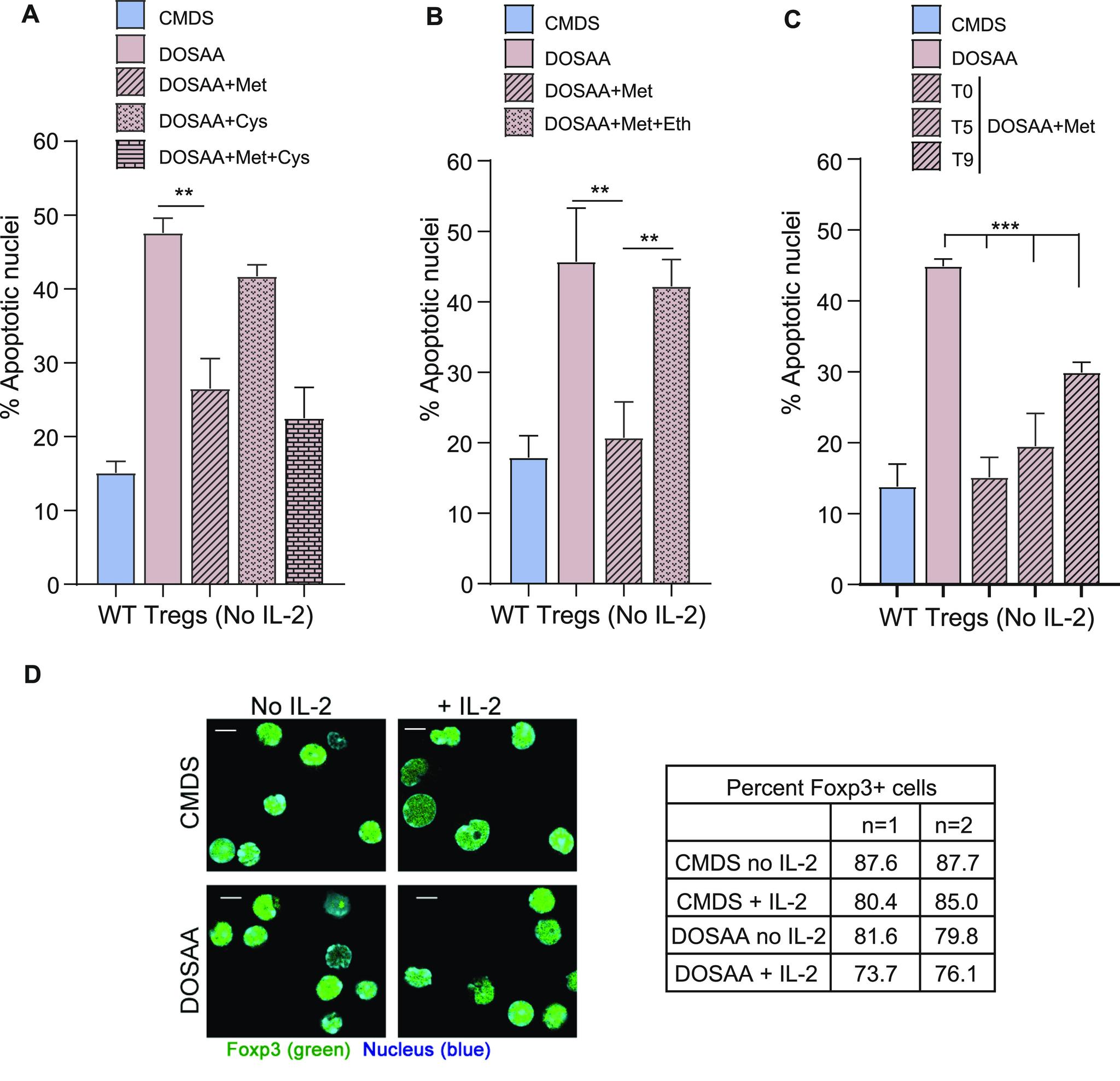 https://cdn.ncbi.nlm.nih.gov/pmc/blobs/21bf/9463494/e0edcfee90ce/LSA-2022-01663_Fig2.jpg