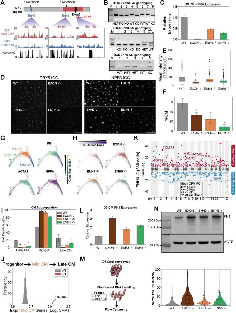 https://cdn.ncbi.nlm.nih.gov/pmc/blobs/21c4/10156167/4ce826f4808c/elife-86206-fig5.jpg