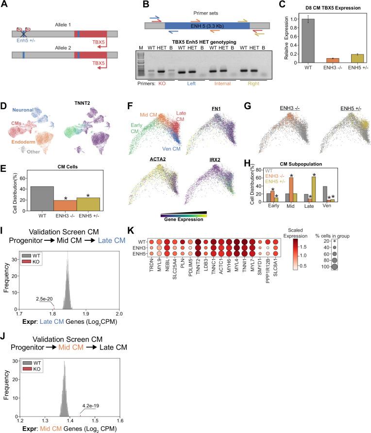 https://cdn.ncbi.nlm.nih.gov/pmc/blobs/21c4/10156167/742ccc509b72/elife-86206-fig6.jpg