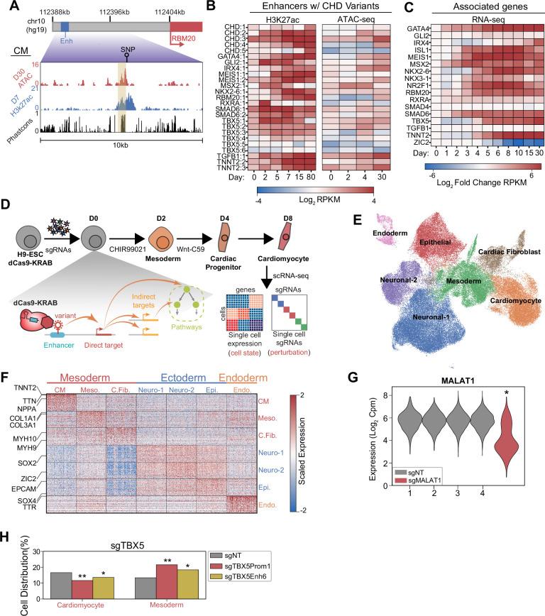 https://cdn.ncbi.nlm.nih.gov/pmc/blobs/21c4/10156167/ed5987e483ce/elife-86206-fig1.jpg