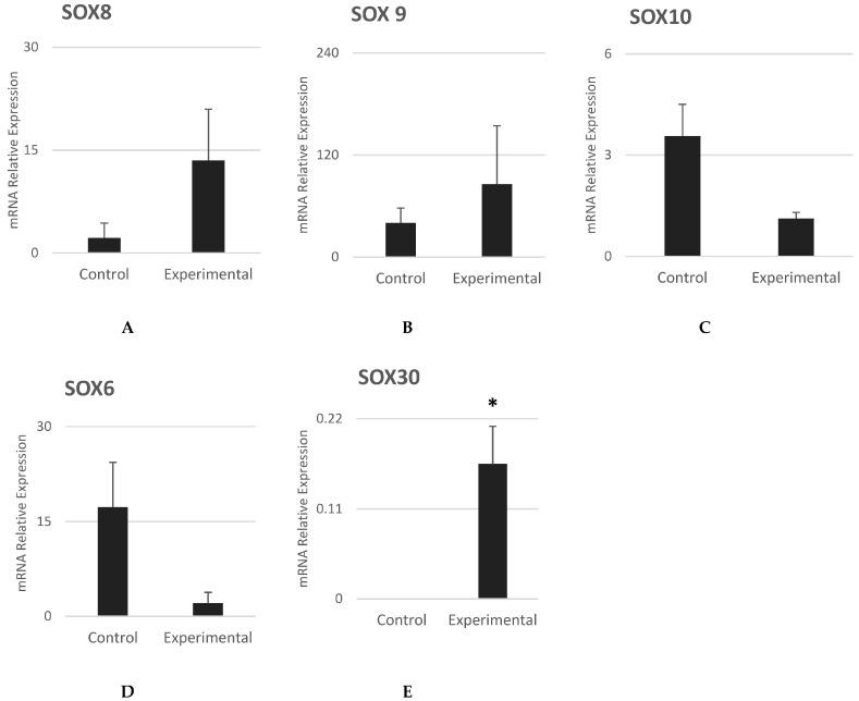 https://cdn.ncbi.nlm.nih.gov/pmc/blobs/21cb/10526281/255f9f3e1251/cells-12-02216-g006.jpg