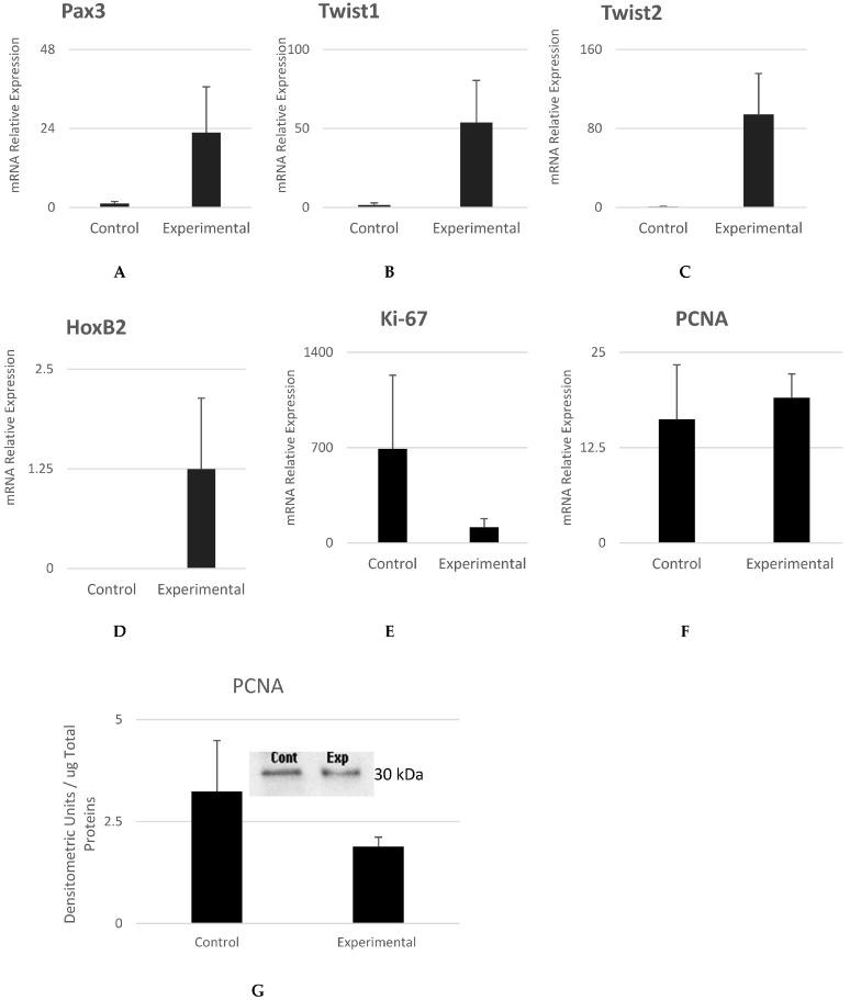 https://cdn.ncbi.nlm.nih.gov/pmc/blobs/21cb/10526281/9aef1e2f2272/cells-12-02216-g007.jpg