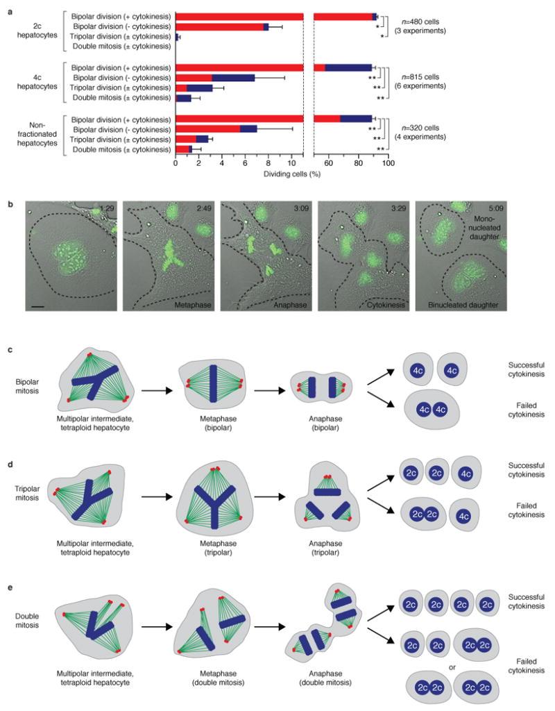 https://cdn.ncbi.nlm.nih.gov/pmc/blobs/21ed/2967727/a4318828852c/nihms228286f4.jpg