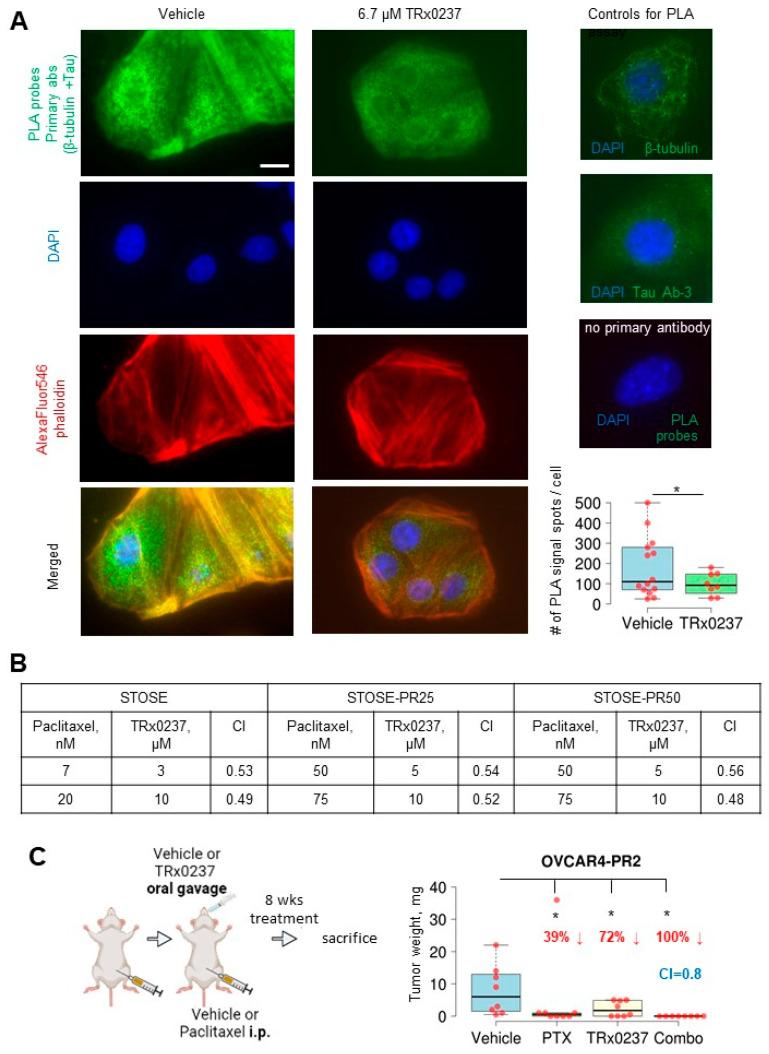https://cdn.ncbi.nlm.nih.gov/pmc/blobs/21ee/9496900/04e74b2866b8/cancers-14-04535-g005.jpg