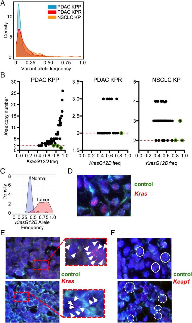 https://cdn.ncbi.nlm.nih.gov/pmc/blobs/21fc/5754767/37a1b0bfa654/pnas.1708391114fig02.jpg