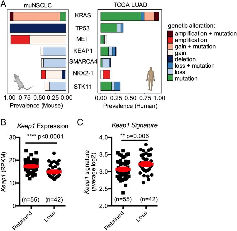 https://cdn.ncbi.nlm.nih.gov/pmc/blobs/21fc/5754767/43e1960cb438/pnas.1708391114fig03.jpg