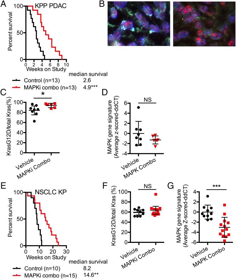 https://cdn.ncbi.nlm.nih.gov/pmc/blobs/21fc/5754767/8ba8b3a7f80d/pnas.1708391114fig05.jpg