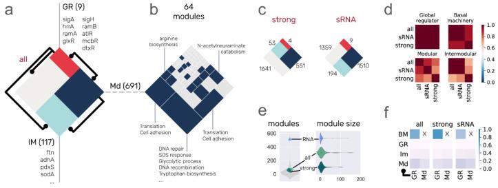 https://cdn.ncbi.nlm.nih.gov/pmc/blobs/2207/8303971/11fd247b1a9a/microorganisms-09-01395-g003.jpg