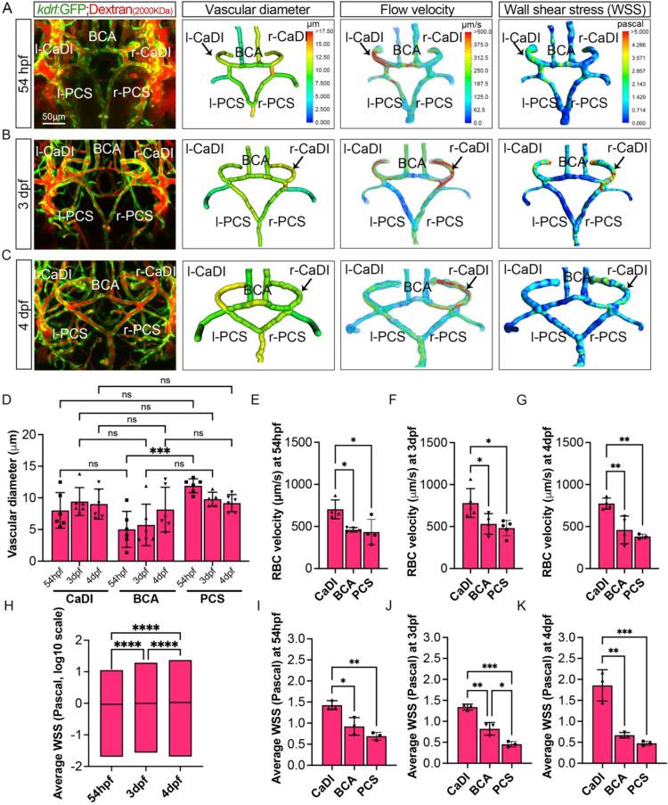 https://cdn.ncbi.nlm.nih.gov/pmc/blobs/2228/11236418/061eb41460cc/elife-94094-fig3.jpg
