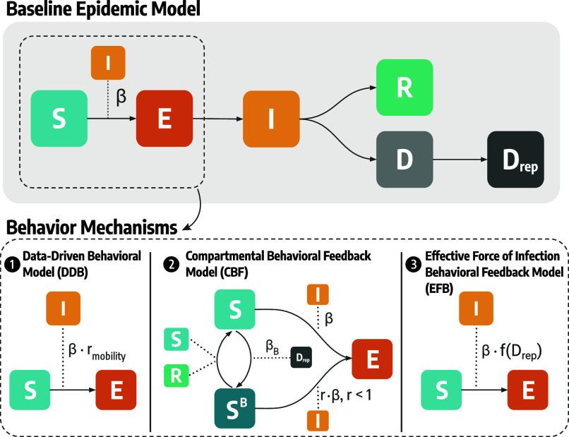 https://cdn.ncbi.nlm.nih.gov/pmc/blobs/2244/12184516/b9ed577e447e/pnas.2421993122fig01.jpg