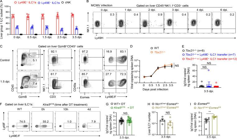 https://cdn.ncbi.nlm.nih.gov/pmc/blobs/2251/8992684/3e505c267070/JEM_20211805_FigS5.jpg