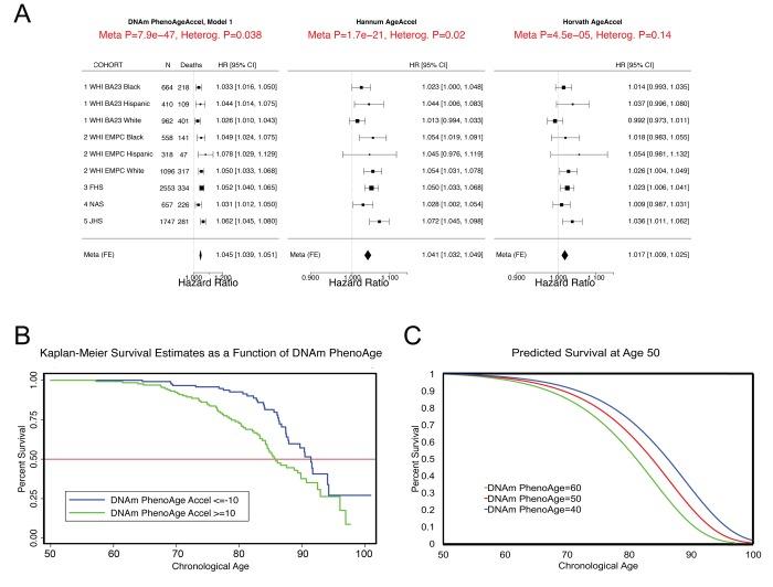 https://cdn.ncbi.nlm.nih.gov/pmc/blobs/2262/5940111/21d6a8981028/aging-10-101414-g002.jpg