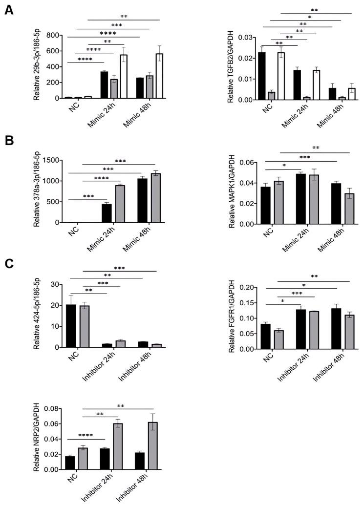 https://cdn.ncbi.nlm.nih.gov/pmc/blobs/2265/10969675/6c1d822922e2/cells-13-00513-g004.jpg