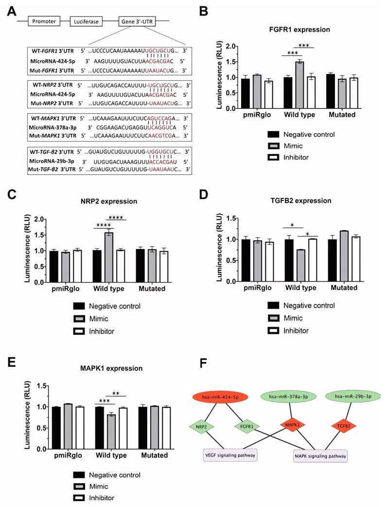 https://cdn.ncbi.nlm.nih.gov/pmc/blobs/2265/10969675/b8cd44a6c305/cells-13-00513-g005.jpg