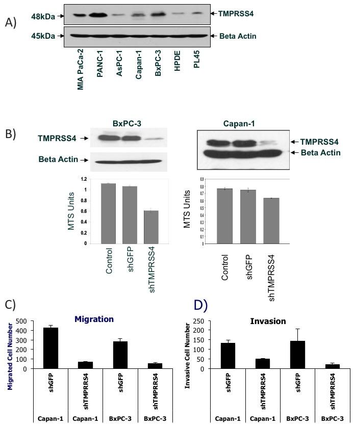 https://cdn.ncbi.nlm.nih.gov/pmc/blobs/2268/5029625/e107a093a4bf/oncotarget-07-23263-g006.jpg