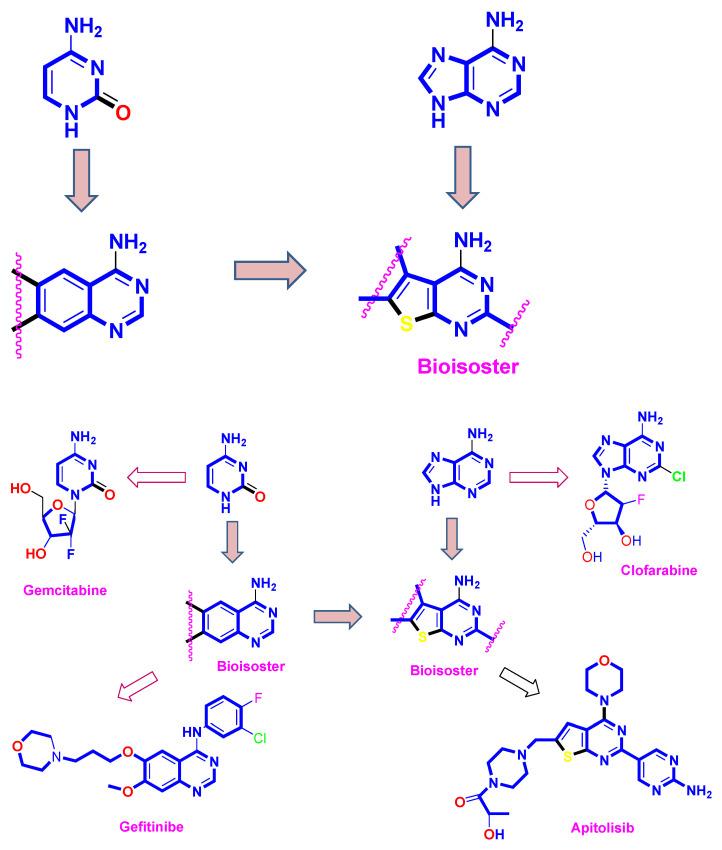 https://cdn.ncbi.nlm.nih.gov/pmc/blobs/2282/10489817/51233cee0579/molecules-28-06347-g001.jpg