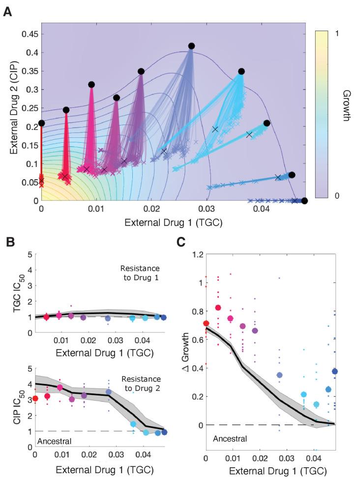 https://cdn.ncbi.nlm.nih.gov/pmc/blobs/2293/8331190/02e058712197/elife-64851-fig5.jpg