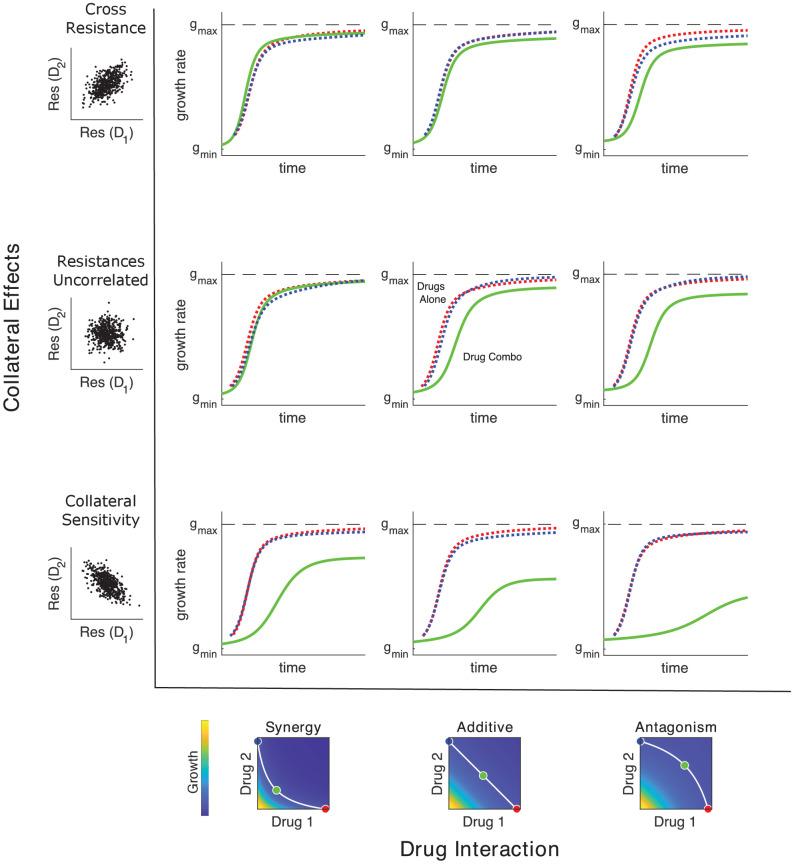 https://cdn.ncbi.nlm.nih.gov/pmc/blobs/2293/8331190/666e596c17b9/elife-64851-fig4.jpg