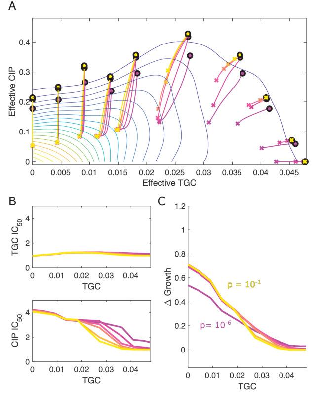 https://cdn.ncbi.nlm.nih.gov/pmc/blobs/2293/8331190/acd6d9e23159/elife-64851-fig5-figsupp5.jpg