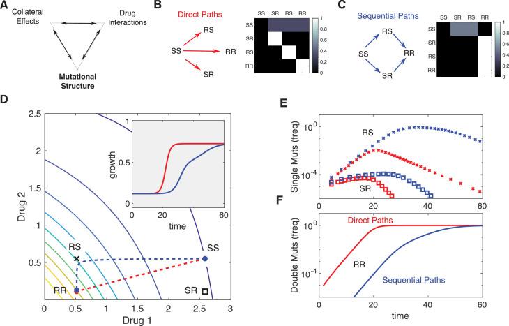 https://cdn.ncbi.nlm.nih.gov/pmc/blobs/2293/8331190/add2e3c21f0d/elife-64851-fig6.jpg