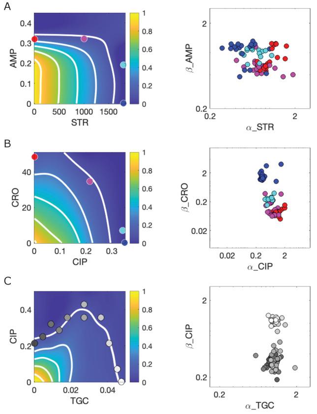 https://cdn.ncbi.nlm.nih.gov/pmc/blobs/2293/8331190/b208bcc1243a/elife-64851-fig3-figsupp1.jpg