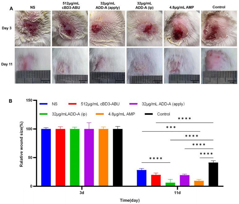 https://cdn.ncbi.nlm.nih.gov/pmc/blobs/22a0/11200854/64be5d3d8707/antibiotics-13-00508-g001.jpg