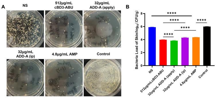 https://cdn.ncbi.nlm.nih.gov/pmc/blobs/22a0/11200854/801fa4085294/antibiotics-13-00508-g002.jpg