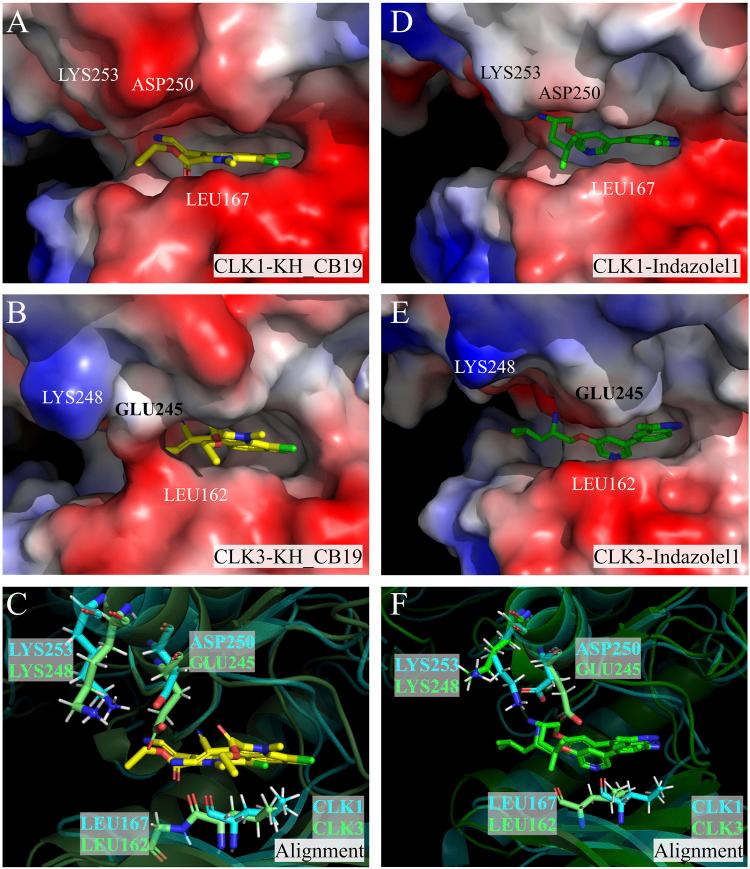 https://cdn.ncbi.nlm.nih.gov/pmc/blobs/22a8/12209269/7ade5c1b9e93/fchem-13-1582515-g015.jpg