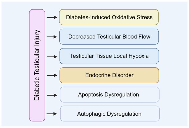 https://cdn.ncbi.nlm.nih.gov/pmc/blobs/22ad/12384140/2d4a2691954c/biomolecules-15-01190-g003.jpg