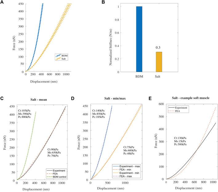 https://cdn.ncbi.nlm.nih.gov/pmc/blobs/22f8/10978802/6f989cda7180/fbioe-12-1335788-g002.jpg