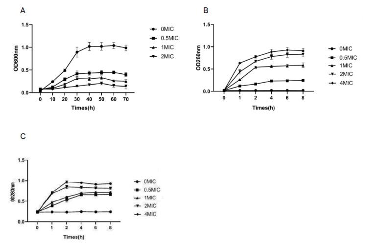 https://cdn.ncbi.nlm.nih.gov/pmc/blobs/2305/10096342/120064f8035e/molecules-28-03102-g001.jpg