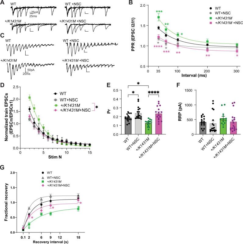 https://cdn.ncbi.nlm.nih.gov/pmc/blobs/2308/12148328/4d414456e18d/elife-103620-fig8.jpg