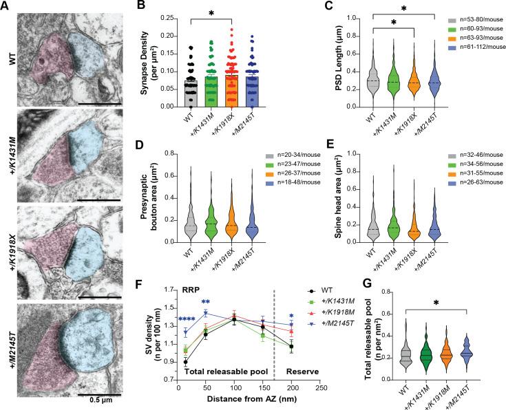 https://cdn.ncbi.nlm.nih.gov/pmc/blobs/2308/12148328/9c9530a67988/elife-103620-fig4.jpg