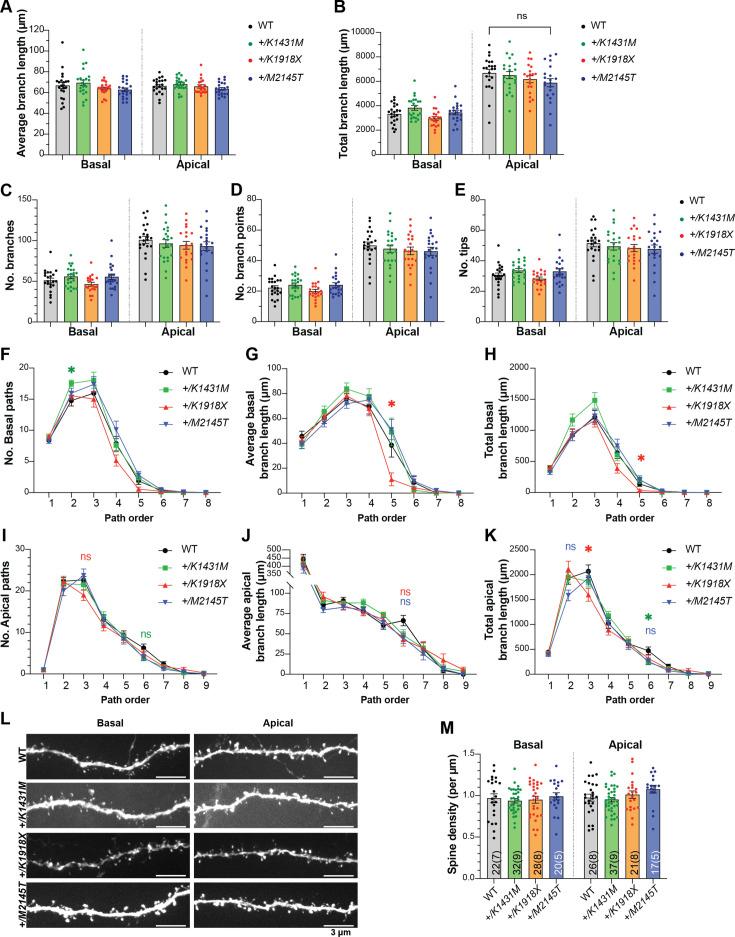 https://cdn.ncbi.nlm.nih.gov/pmc/blobs/2308/12148328/b10dce64c6da/elife-103620-fig3-figsupp2.jpg