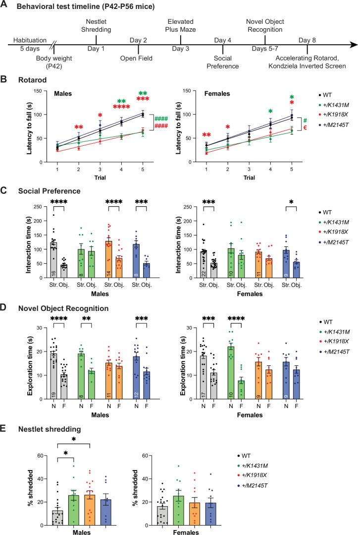 https://cdn.ncbi.nlm.nih.gov/pmc/blobs/2308/12148328/b50541952b91/elife-103620-fig2.jpg