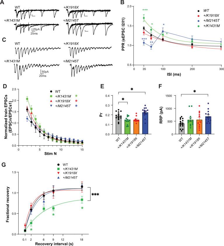 https://cdn.ncbi.nlm.nih.gov/pmc/blobs/2308/12148328/bce1100d9257/elife-103620-fig6.jpg