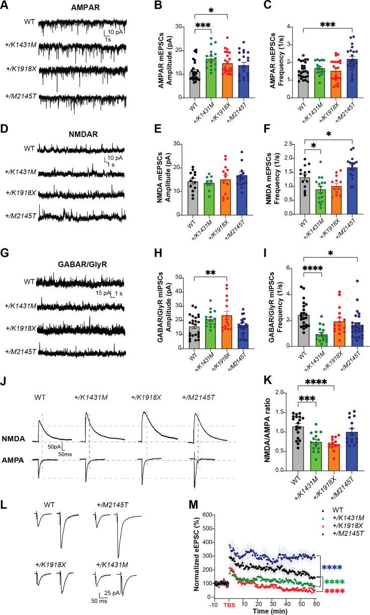 https://cdn.ncbi.nlm.nih.gov/pmc/blobs/2308/12148328/c5a8ea0f6391/elife-103620-fig5.jpg