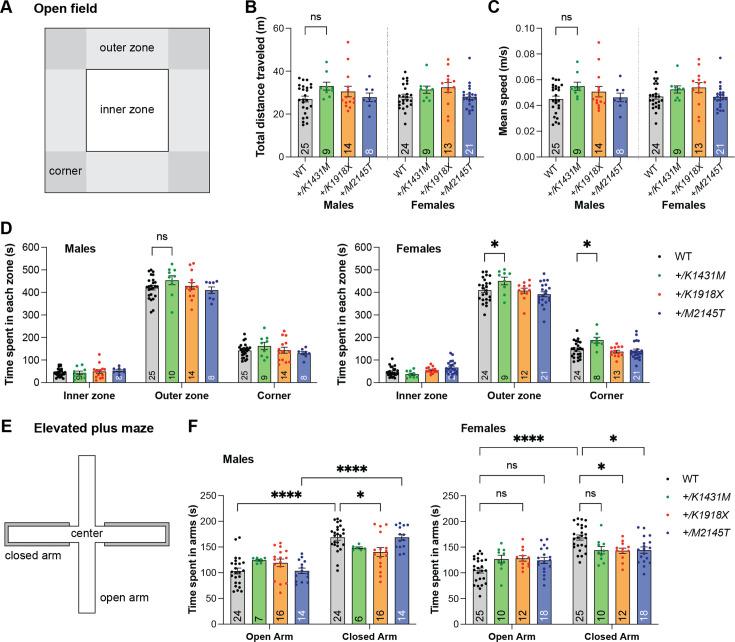 https://cdn.ncbi.nlm.nih.gov/pmc/blobs/2308/12148328/d20ce388343e/elife-103620-fig2-figsupp1.jpg