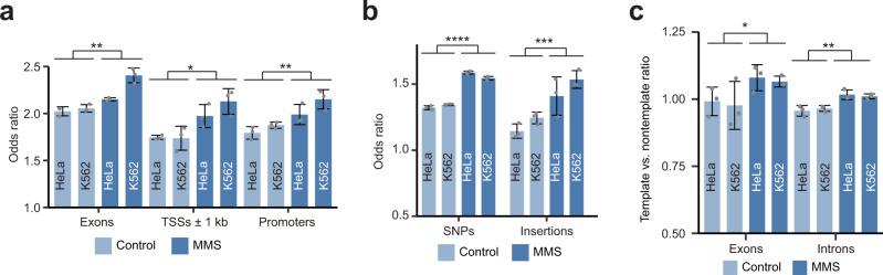 https://cdn.ncbi.nlm.nih.gov/pmc/blobs/2333/9534904/4951447b8e06/41467_2022_33594_Fig6_HTML.jpg