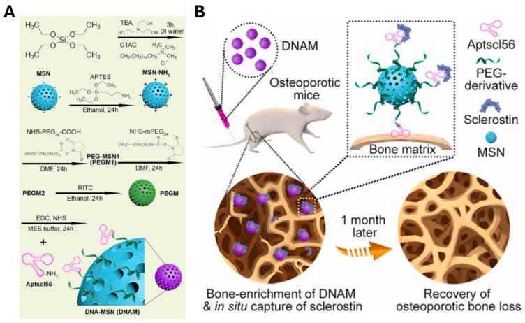 https://cdn.ncbi.nlm.nih.gov/pmc/blobs/23a3/12024714/90139a24109a/biosensors-15-00232-g006.jpg