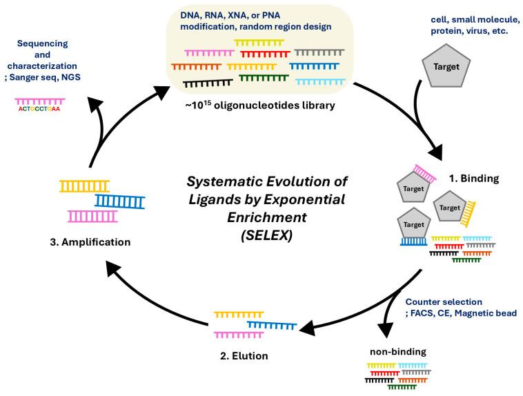 https://cdn.ncbi.nlm.nih.gov/pmc/blobs/23a3/12024714/c5e27a712106/biosensors-15-00232-g002.jpg