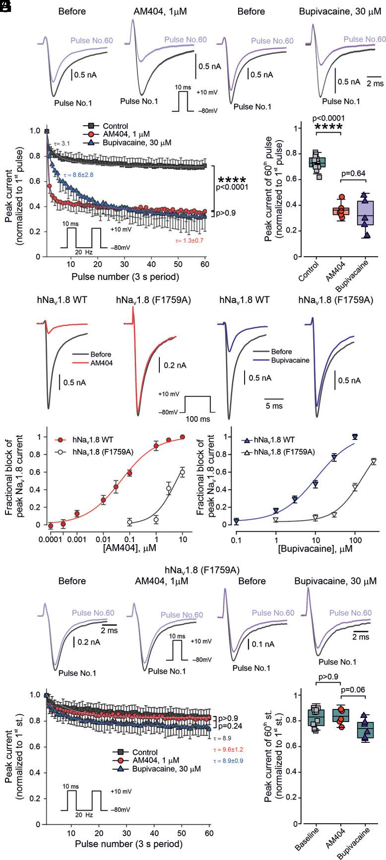 https://cdn.ncbi.nlm.nih.gov/pmc/blobs/23bd/12168006/5dfe60a832a8/pnas.2413811122fig05.jpg