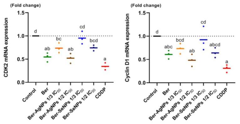 https://cdn.ncbi.nlm.nih.gov/pmc/blobs/23c6/10854975/17c7f96bc37a/cells-13-00287-g006.jpg