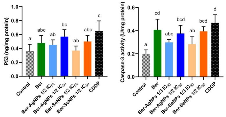 https://cdn.ncbi.nlm.nih.gov/pmc/blobs/23c6/10854975/94b0df0a13ac/cells-13-00287-g005.jpg